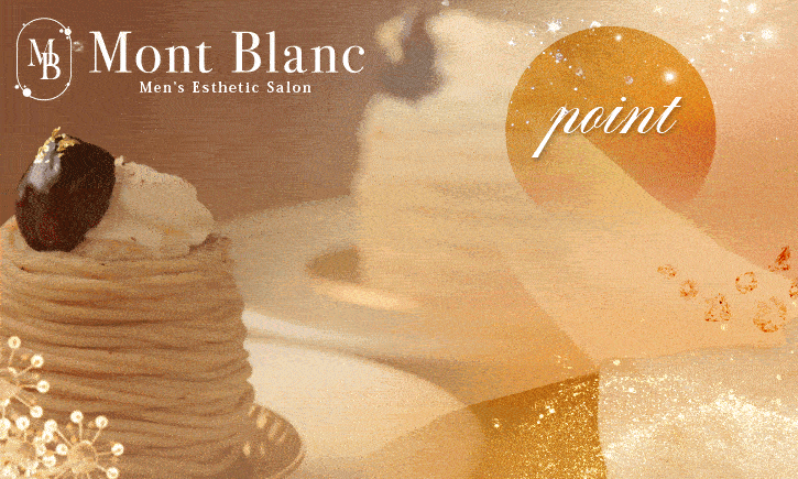 Mont Blanc～モンブランのポイント